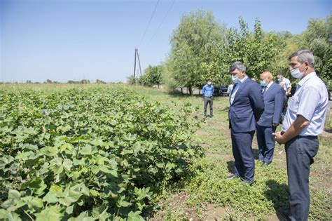 Azerbaijan Starts Use Of Drones In Agriculture