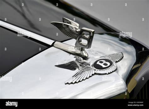 Bentley Emblem On Car Hood Stock Photo Alamy