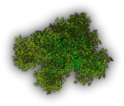 Transparent Background Architecture Tree Top View Png Rwanda 24