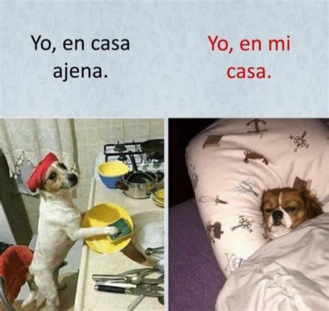 Imagen Memes Chistosos Alojada En X Imagen Mexican Humor Funny Spanish