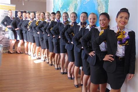 New Zealand School Of Tourism Hospitality Tourism Flight Attending