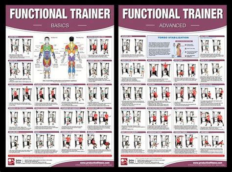 Functional Trainer Fitness Instructional Wall Chart Poster Combo Productive Fitness