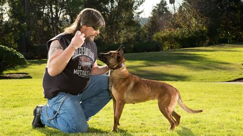 Elite Dog Training Photos Alpha Dogs National Geographic Channel