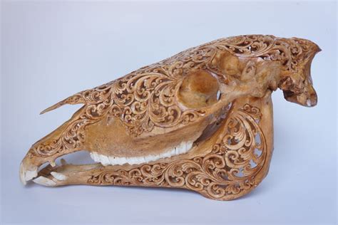 Carved Horse Skull Catawiki
