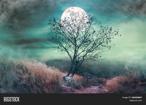 Landscape Dark Night Image And Photo Free Trial Bigstock