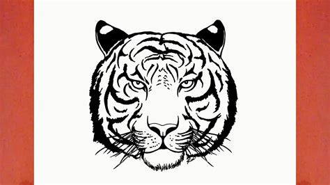 Como Desenhar Um Tigre Animais Youtube
