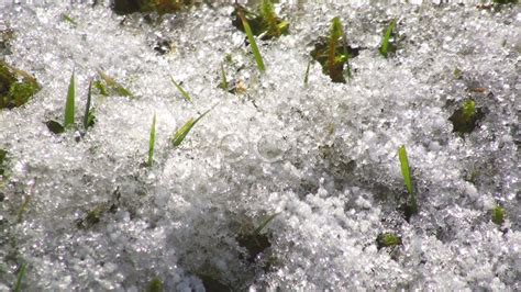 Melting Snow In Spring Stock Footage Youtube