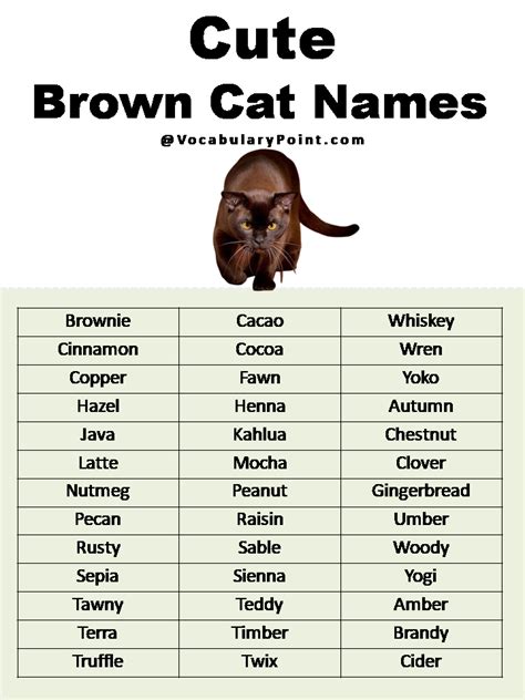 Most Popular Cute Cat Names Vocabulary Point