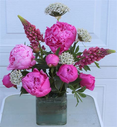Herbaceous Peonies In Small Arrangements With A Big Impact Sowing The