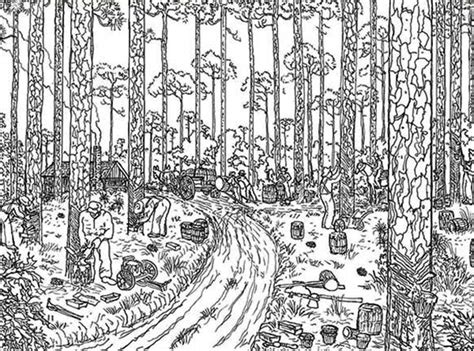 trees logging rainforest coloring page  print  coloring pages   color