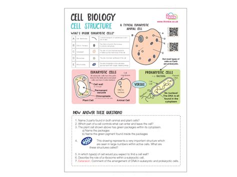 Many plant cells are green. Cells Worksheet - Biology GCSE 2016 | Teaching Resources