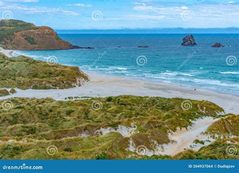 Sandfly Bay In Otago Peninsula New Zealand Stock Photo Image Of Zealand Landscape