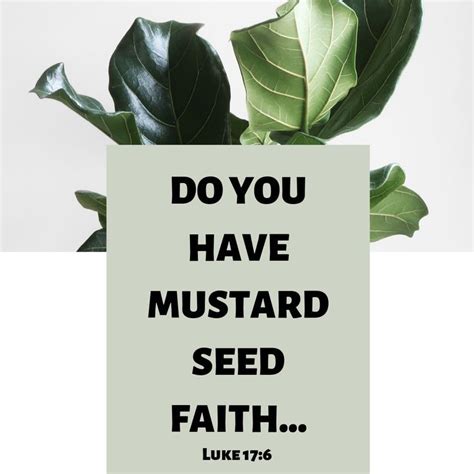 Luke 176 The Lord Said If You Had Faith Like A Grain Of Mustard Seed