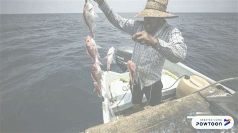 Ley General De Pesca Y Acuacultura Sustentables Youtube
