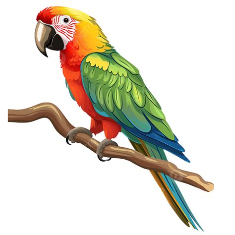 Flat Color Parrot Bird Clipart Transparent Background Flat Color