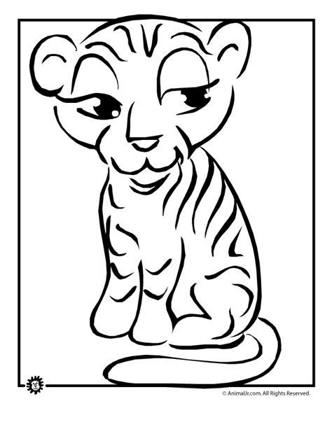 Tiger Coloring Pages Animal Jr