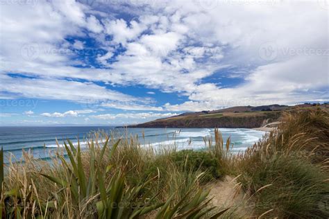 View Of Sandfly Bay In The South Island Of New Zealand Stock Photo At Vecteezy