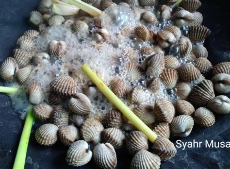 Silakan klik cara masak kerang ala resto yang superrr enak dan cepat, 10 menit ready. Cara Rebus Kerang Tanpa Guna Air, Isi Lebih Lembut & Tak Liat!