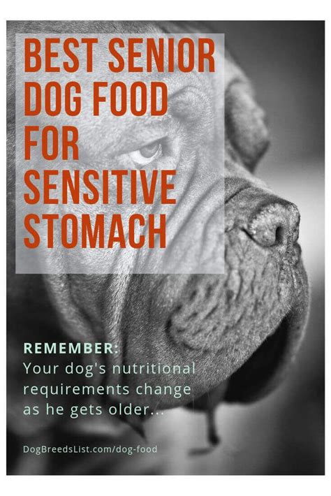 (give relief to your pooch). Best Senior Dog Food | Dog food recipes, Best senior dog ...