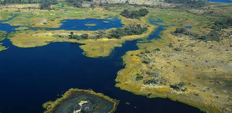 Uwmadison Okavango Research Institute Botswana Wildlife Training Institute 2023