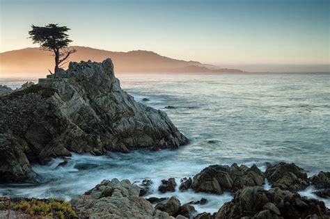 Lone Cypress At Pebble Beach Photograph By Michael Okimoto Pixels