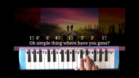 Somewhere Only We Know Not Pianika Melodica Cover Youtube
