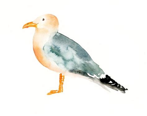14 Best Images About Seagull Ideas On Pinterest Watercolors The