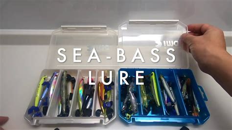 Sea Bass Lure Private Collection Youtube