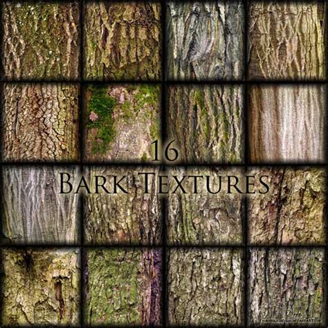 Tree Bark Textures 400 High Quality Images For Designing Backgrounds