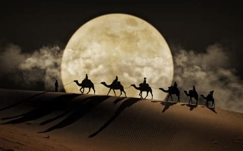 Desert Moon Camel Art Desktop Wallpaper Hd For Mobile Phones And