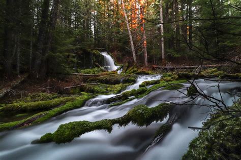 25 Roadside Attraction In The Ford Pinchot National Forest Wa Oc