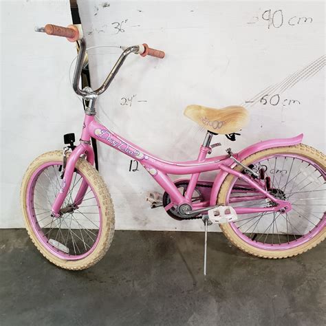 Pink Daisy Diva Bike