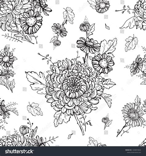 Chrysanthemums Seamless Pattern Floral Background Black Vector De