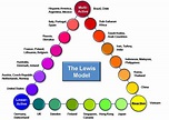 The Lewis Model: How To Understand Every Culture In The World - Society 3.0