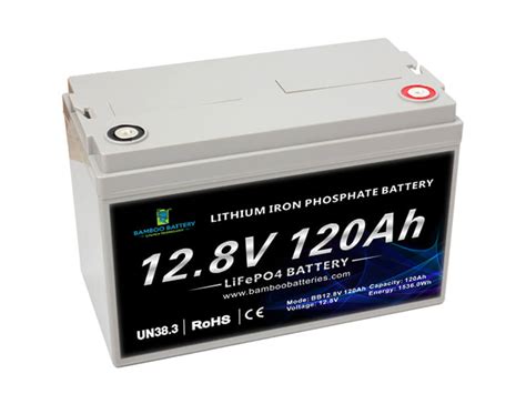 Professional Lithium Rv Battery And Lithium Ion Battery 12v 120ah