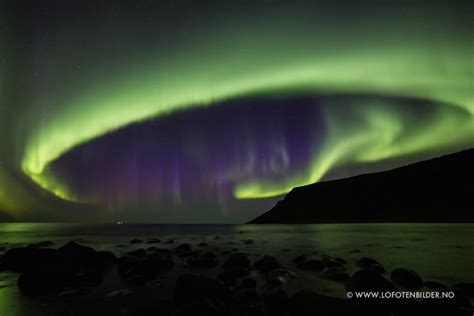 Auroras Boreales Desde Las Islas Lofoten Noruega El Universo Hoy