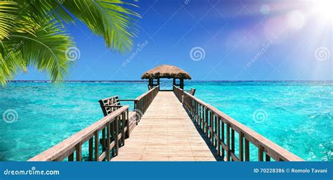 Input Dock For The Tropical Paradise Stock Photo Image Of Wooden