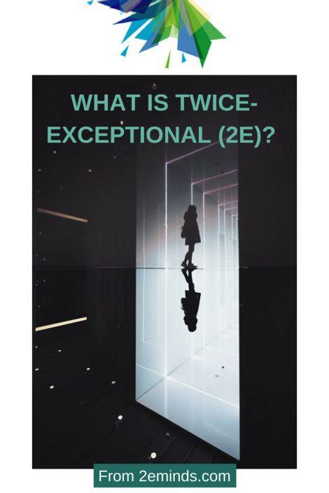 What Is Twice Exceptional 2e 2e Minds