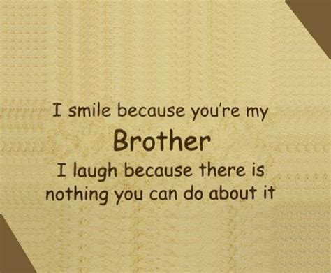 Sibling quotes don't always have to be inspirational to be meaningful. Top 29 Cute Brother Quotes from Sister | SO LIFE QUOTES