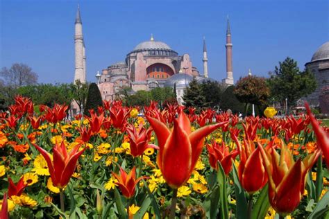 Фестивал на лалетата в Истанбул CLASSIC TOUR
