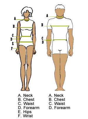 Army Physical Fitness Test Body Fat Calculator Blog Dandk