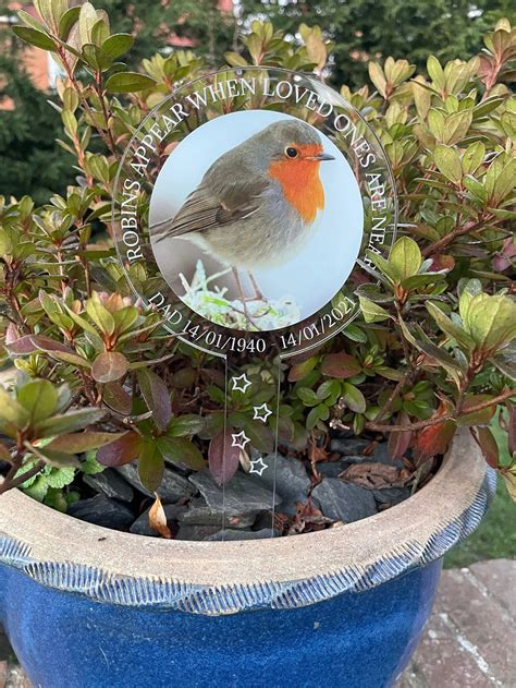 Robin Memorial Robins Appear When Loved Ones Are Near Plant Etsy