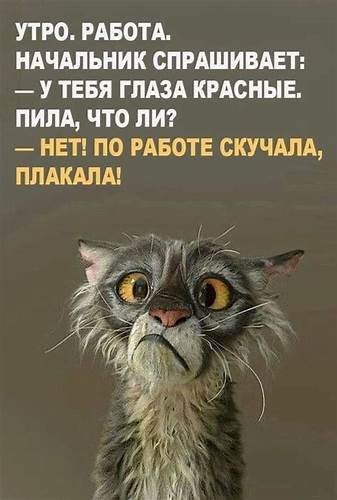 Грешная в 2020 г | Картинки для поднятия настроения, Юмор, Юмор о работе Картинка - Грешная в 2020 г | Картинки для поднятия настроения, Юмор, Юмор о работе
