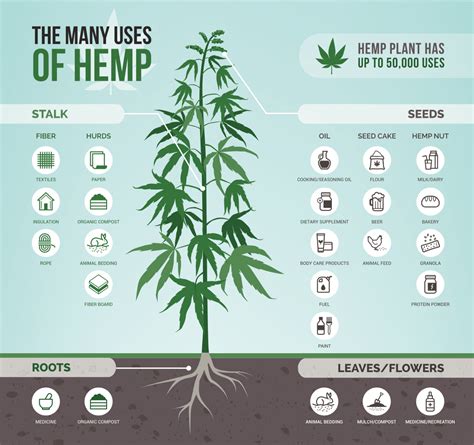 Annies Home A Variety Of Uses Of Hemp
