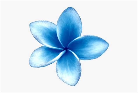 Animated Clipart Flowers