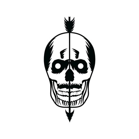 Human Skull Vector Illustration Digital Art 24209317 Vector Art At Vecteezy