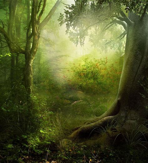 Enchanted Forest Premade Enchanted Forest Fantasy Landscape Magic