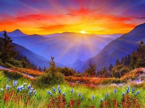 Sunrise Over Mountains And Flowers Landscape Sunset