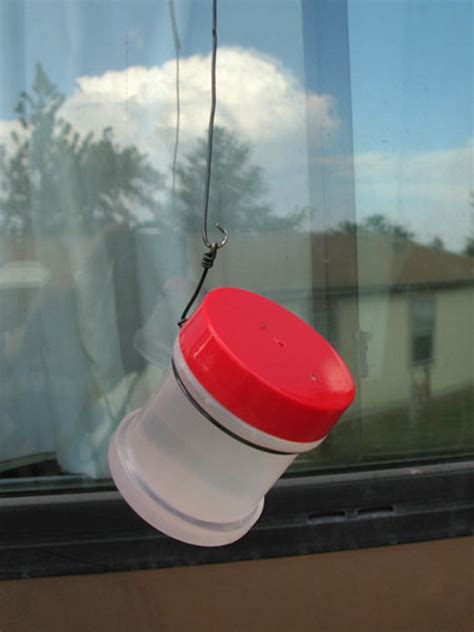 How long does it take for birds to find a new feeder? How To Make A Homemade Hummingbird Feeder