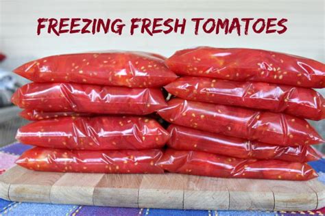 We did not find results for: Freezing Fresh Tomatoes - Mamal Diane